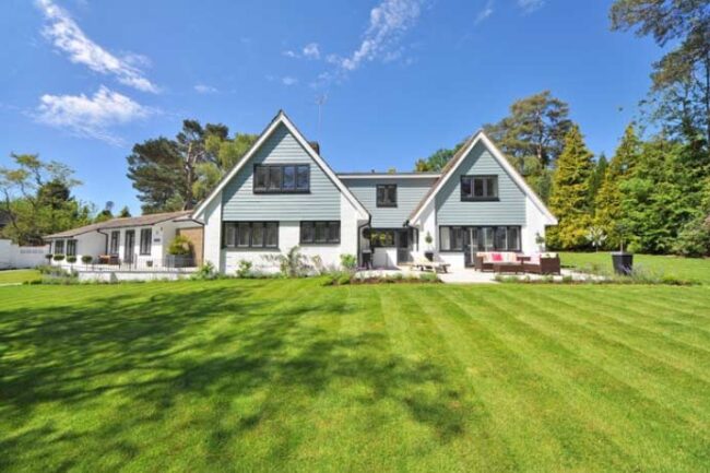 césped El Digital de Asturias césped