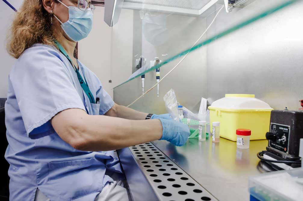 viruela del mono El Digital de Asturias viruela del mono