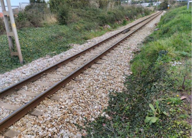 tren Asturias