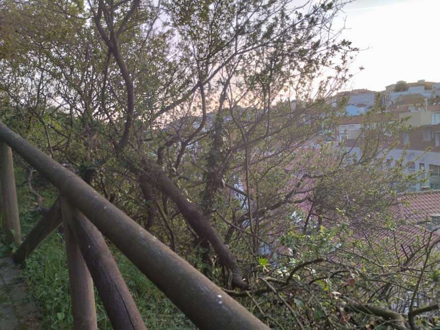 El tiempo en Asturias, hoy domingo 16 de abril 2023