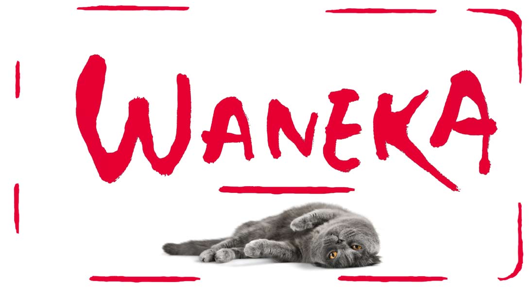 Waneka  El Digital de Asturias Waneka