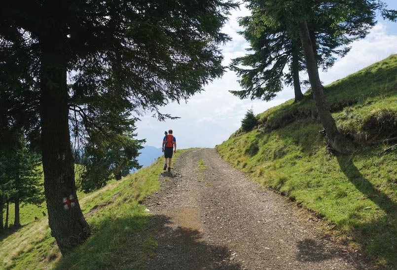 Camino de Santiago El Digital de Asturias Camino de Santiago