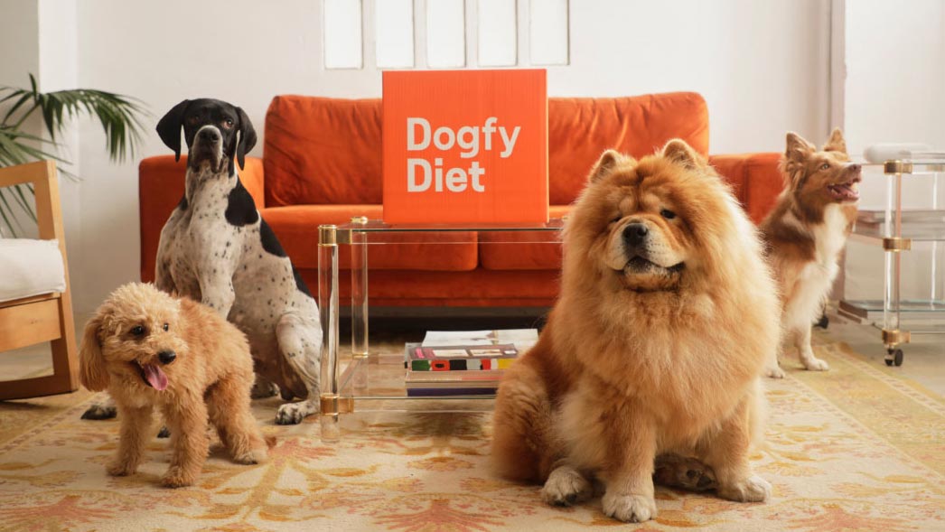 Dogfy Diet