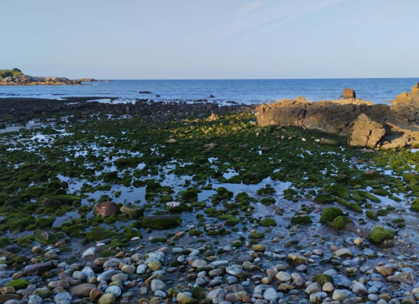 El tiempo 22 agosto Asturias El Digital de Asturias El tiempo 22 agosto Asturias