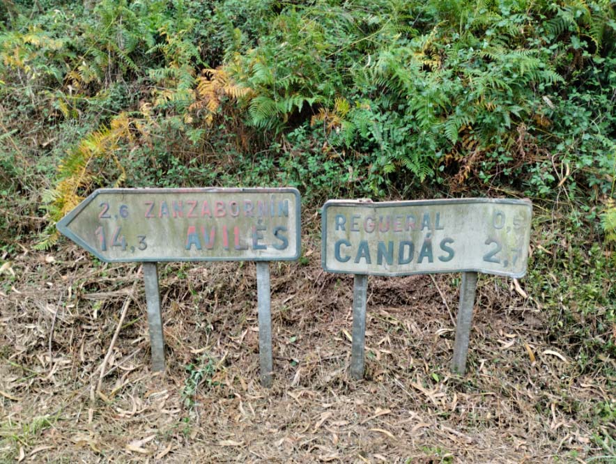 El Gobierno de Asturias impulsará el Fondo de Cooperación Municipal