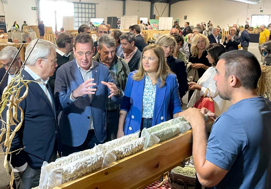 Remoweb El Digital de Asturias Remoweb