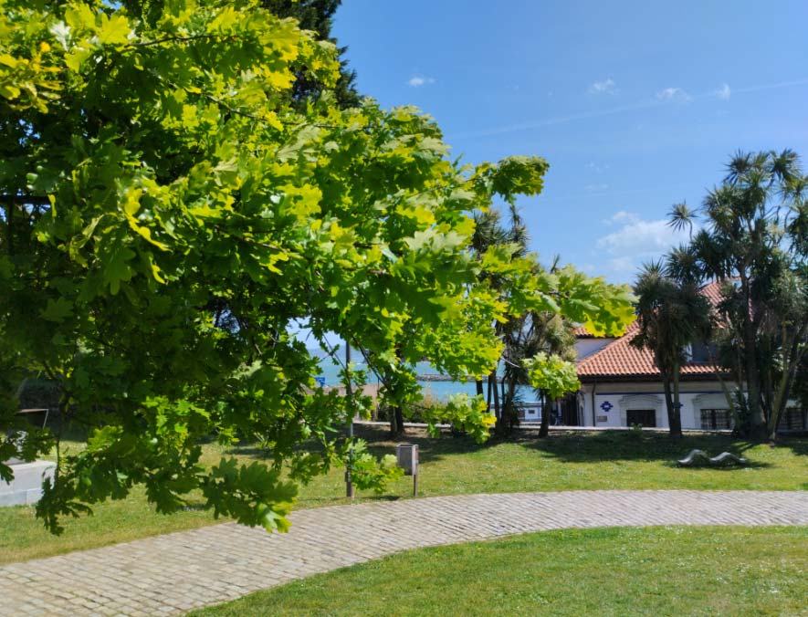 Tiempo Domingo en Asturias