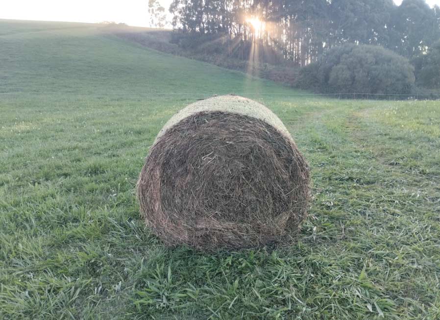 El tiempo en Asturias 2 octubre 2023