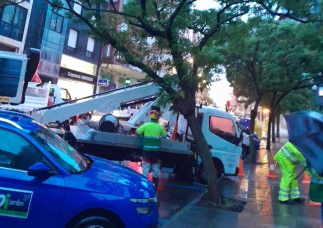 Temporal Avilés