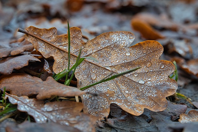 temporal Avilés El Digital de Asturias temporal Avilés