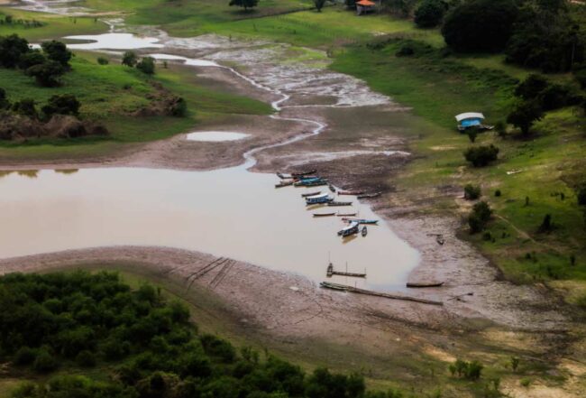 Amazonas