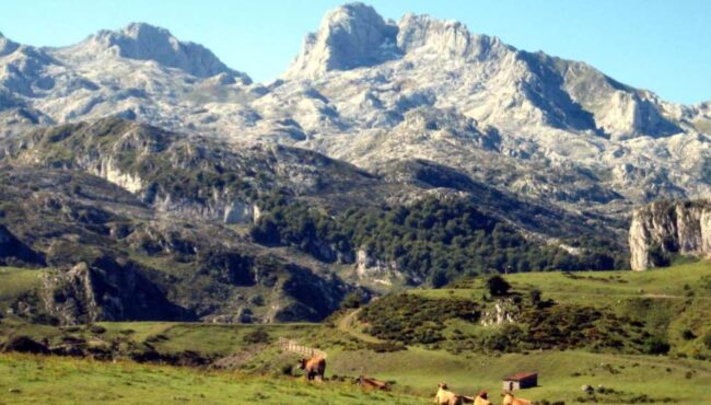 Asturias Natural