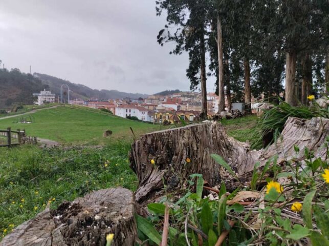 Asturias lunes 11 diciembre