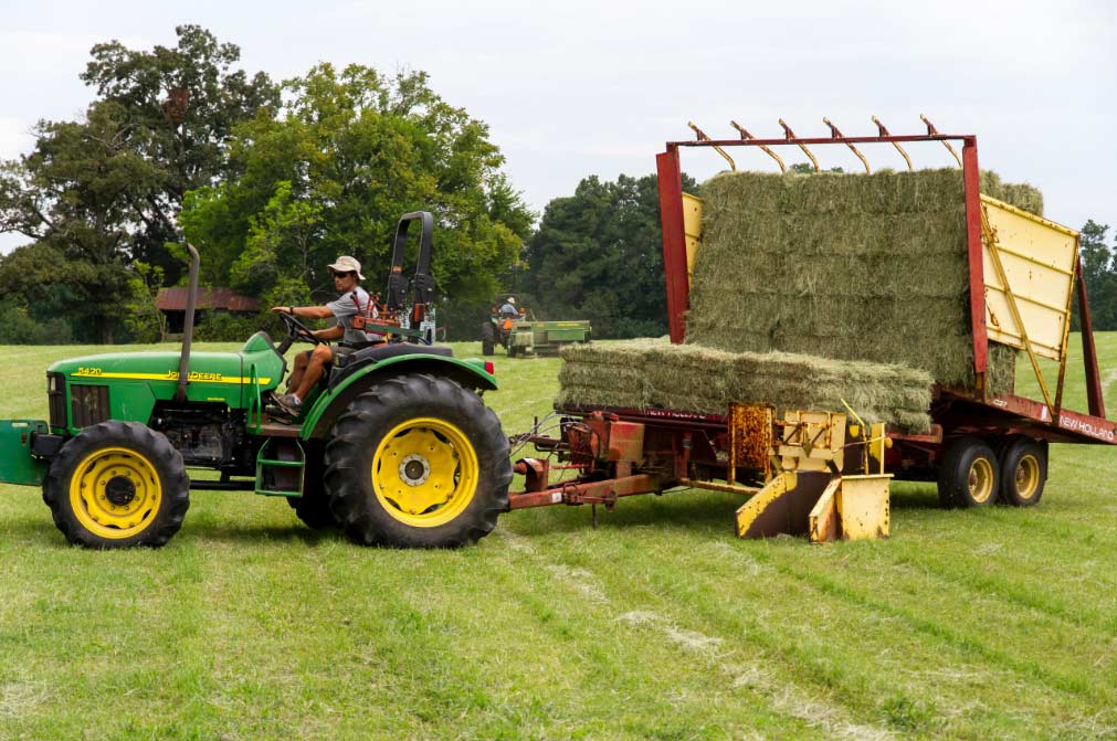 Ayudas Asturias  El Digital de Asturias Ayudas Asturias