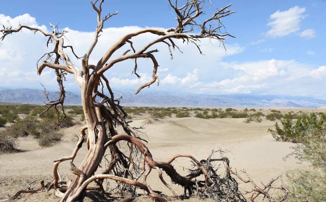 Parques Nacionales Estados Unidos  El Digital de Asturias Parques Nacionales Estados Unidos