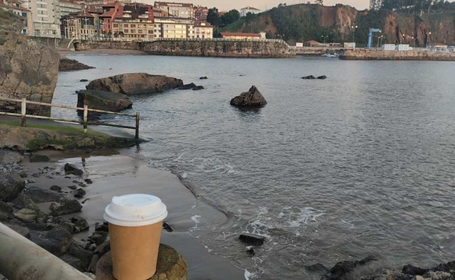 soledad Asturias  El Digital de Asturias soledad Asturias