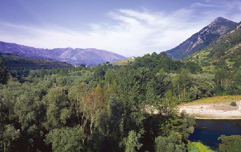 Campaña en Asturias  El Digital de Asturias Campaña en Asturias