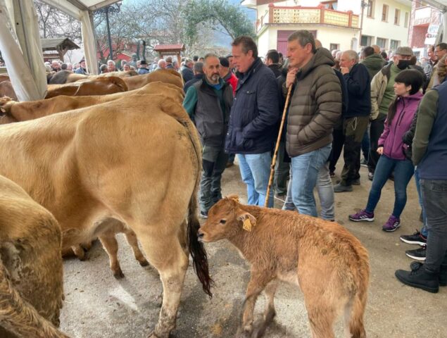 Feria ganadera de San Blas