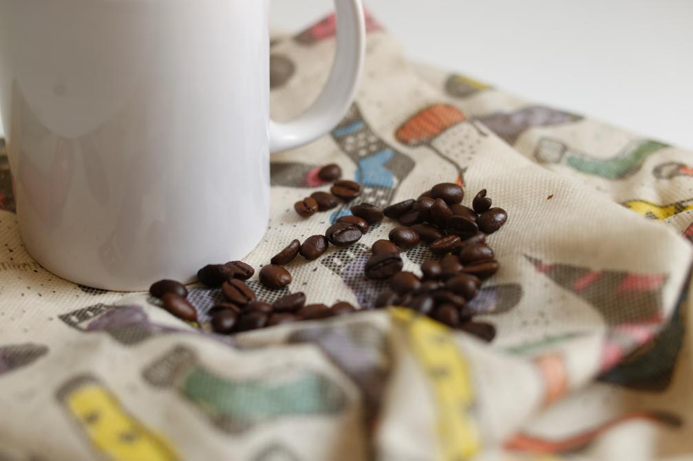 Café Chocolate Fest 2024 El Digital de Asturias Café Chocolate Fest 2024