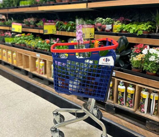 Carros de compra  El Digital de Asturias Carros de compra