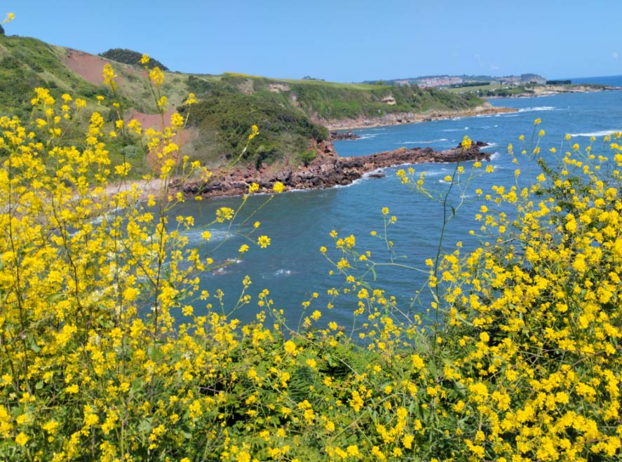 El tiempo en Asturias hoy martes 12 de marzo 2024