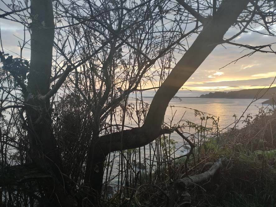 El tiempo hoy lunes 25 de marzo 2024 en Asturias El Digital de Asturias El tiempo hoy lunes 25 de marzo 2024 en Asturias