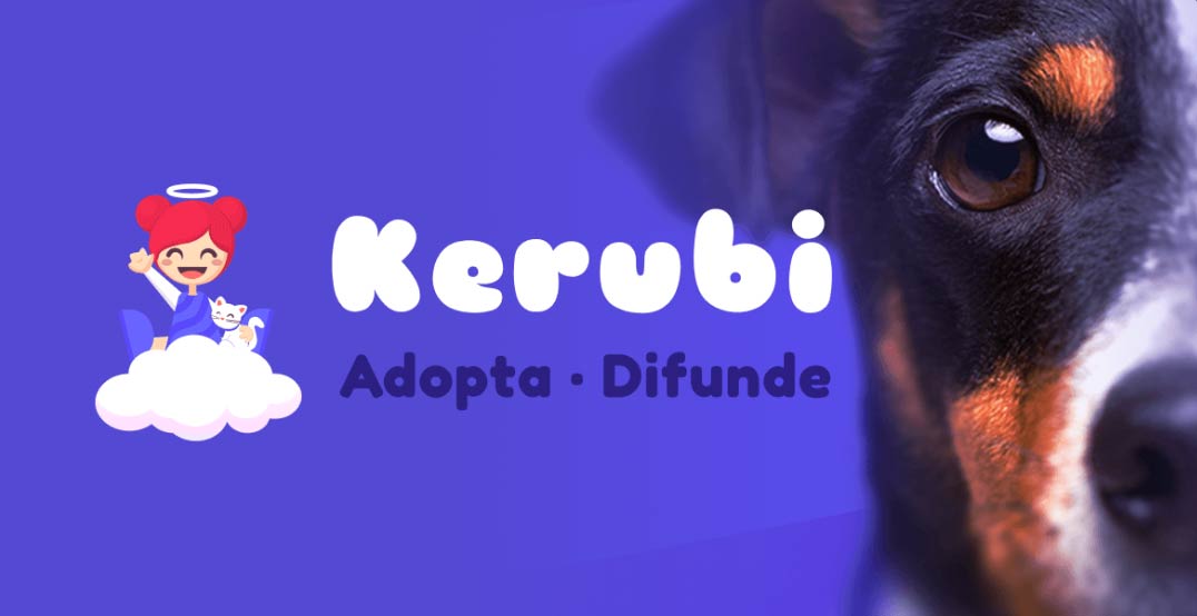 Kerubi El Digital de Asturias Kerubi