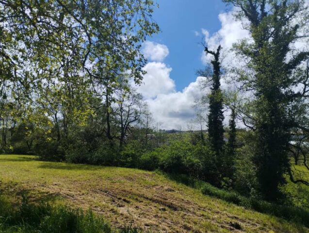 El tiempo en Asturias hoy domingo 29 de abril 2024