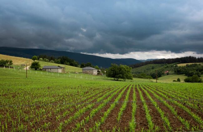 Asturias fomentará el empleo en el sector primario