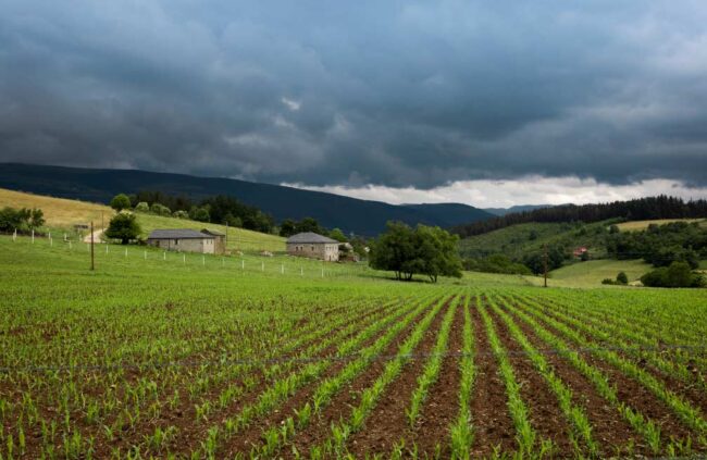 Asturias fomentará el empleo en el sector primario El Digital de Asturias Asturias fomentará el empleo en el sector primario