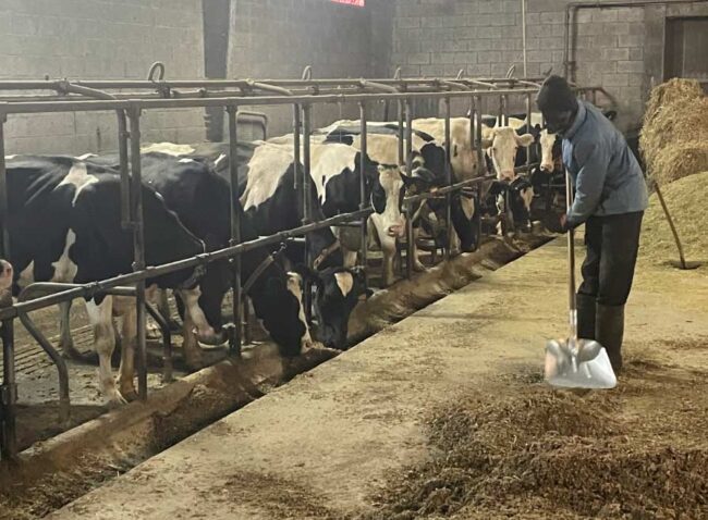 Ayudas en Asturias para explotaciones agrarias El Digital de Asturias Ayudas en Asturias para explotaciones agrarias