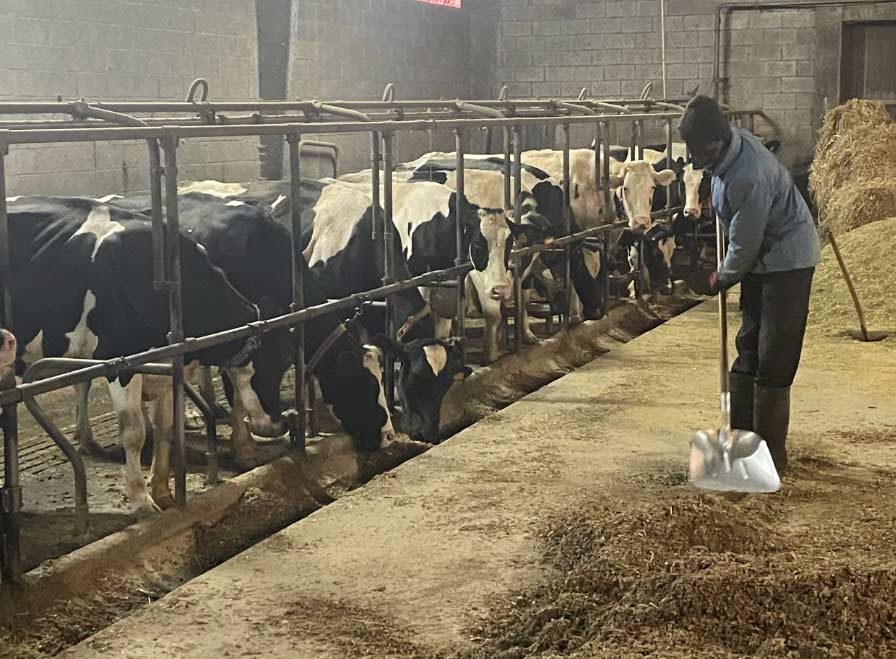 Ayudas en Asturias para explotaciones agrarias