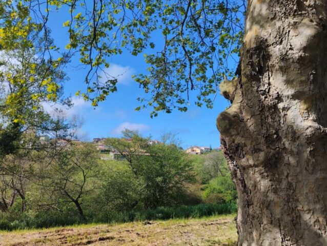 El tiempo en Asturias miércoles 8 de mayo 2024