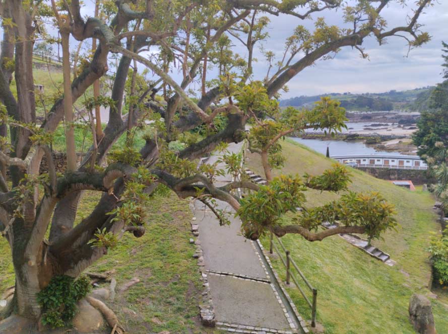 El tiempo hoy miércoles 15 de mayo de 2024 en Asturias  El Digital de Asturias El tiempo hoy miércoles 15 de mayo de 2024 en Asturias