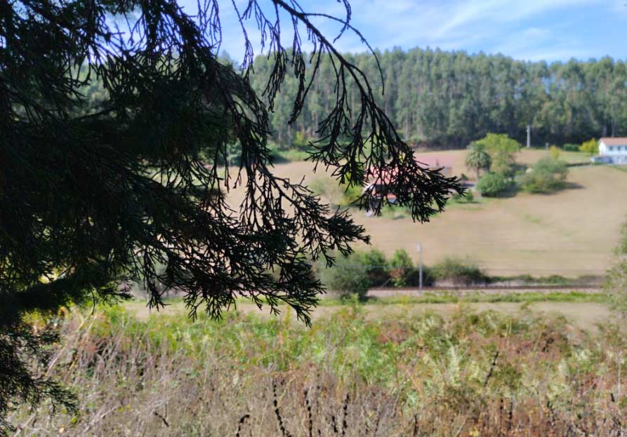 El tiempo en Asturias 3 de julio de 2024