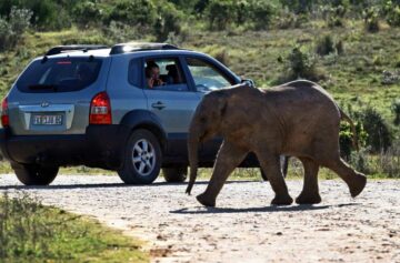 Sudáfrica Turismo
